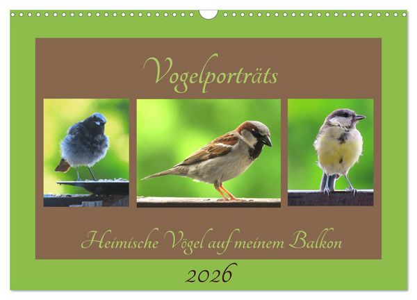 Vogelporträts - Heimische Vögel auf meinem Balkon (Wandkalender 2026 DIN A3 quer), CALVENDO Monatskalender
