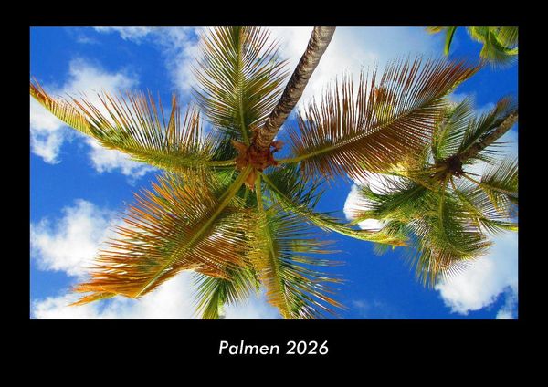 Palmen 2026 Fotokalender DIN A3
