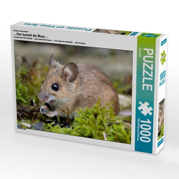 CALVENDO Puzzle Ein Motiv aus dem Kalender ... hier kommt die Maus ... 1000 Teile Lege-Größe 64x48cm Foto-Puzzle für glückliche Stunden