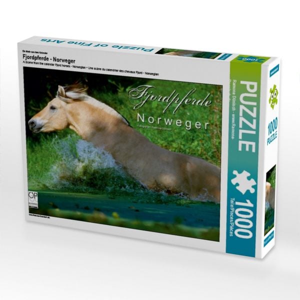 CALVENDO Puzzle Ein Motiv aus dem Kalender Fjordpferde - Norweger 1000 Teile Lege-Größe 64x48cm Foto-Puzzle für glückliche Stunden