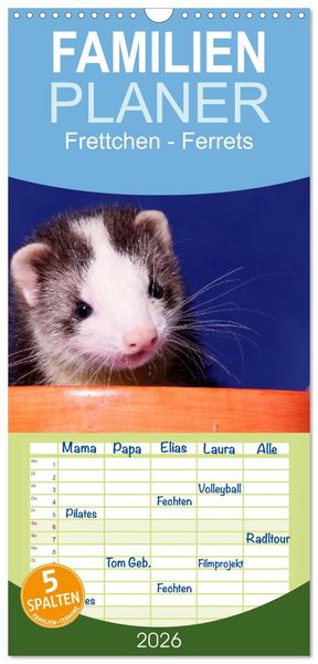 Familienplaner 2026 - Frettchen - Ferrets mit 5 Spalten (Wandkalender, 21 x 45 cm) CALVENDO