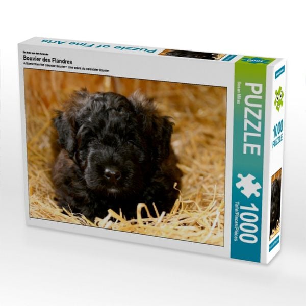 CALVENDO Puzzle Ein Motiv aus dem Kalender Bouvier des Flandres 1000 Teile Lege-Größe 64x48cm Foto-Puzzle für glückliche Stunden