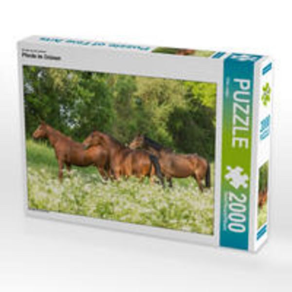 CALVENDO Puzzle Ein Motiv aus dem Kalender Pferde im Grünen 2000 Teile Puzzle quer 2000 Teile Lege-Größe 90 × 67 cm Foto-Puzzle für glückliche Stunden