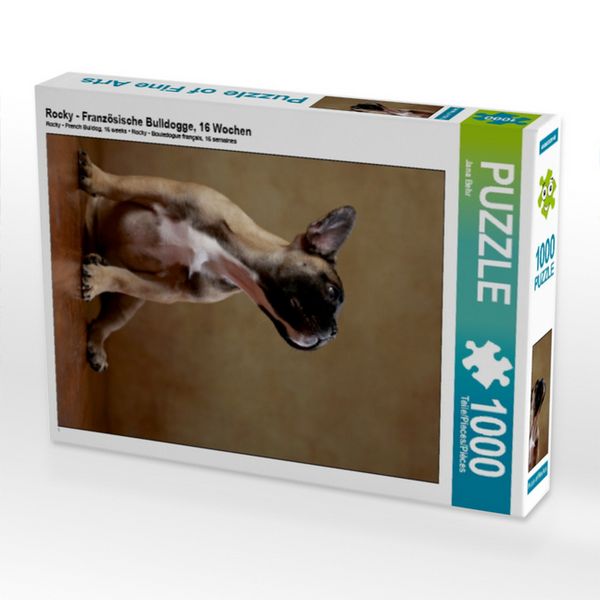 CALVENDO Puzzle Rocky - Französische Bulldogge, 16 Wochen 1000 Teile Puzzle hoch 1000 Teile Lege-Größe 64 × 48 cm Foto-Puzzle für glückliche Stunden