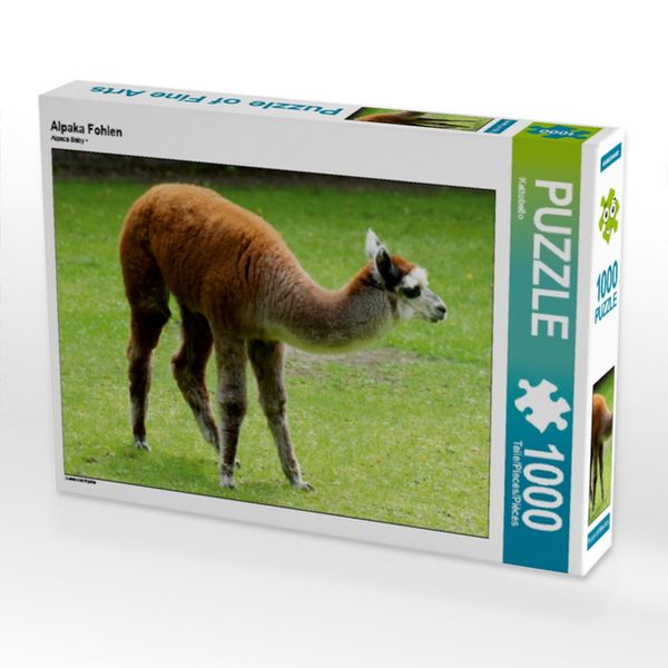 CALVENDO Puzzle Alpaka Fohlen 1000 Teile Lege-Größe 64x48cm Foto-Puzzle für glückliche Stunden