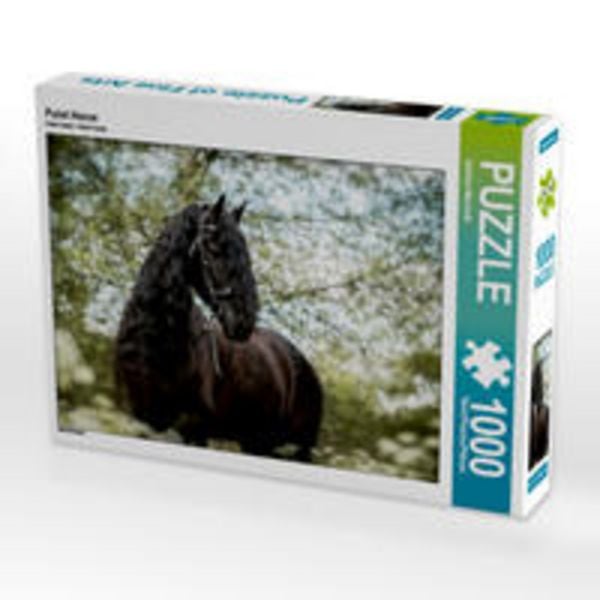 CALVENDO Puzzle Friese 1000 Teile Lege-Größe 64x48cm Foto-Puzzle für glückliche Stunden