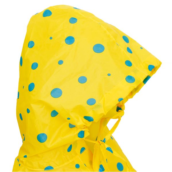 ReflActions, Poncho Roar