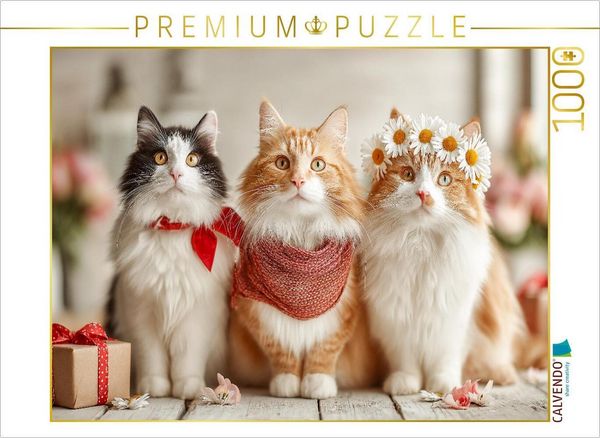 CALVENDO Puzzle Süße Katzen mit Blumen und Geschenk 1000 Teile Lege-Größe 64x48cm Foto-Puzzle für glückliche Stunden