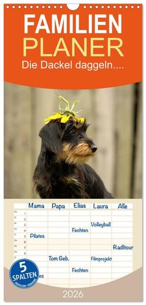 Familienplaner 2026 - Die Dackel daggeln.... mit 5 Spalten (Wandkalender, 21 x 45 cm) CALVENDO