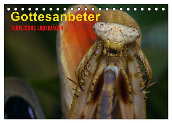 Gottesanbeter - Teuflische Lauerjäger (Tischkalender 2026 DIN A5 quer), CALVENDO Monatskalender
