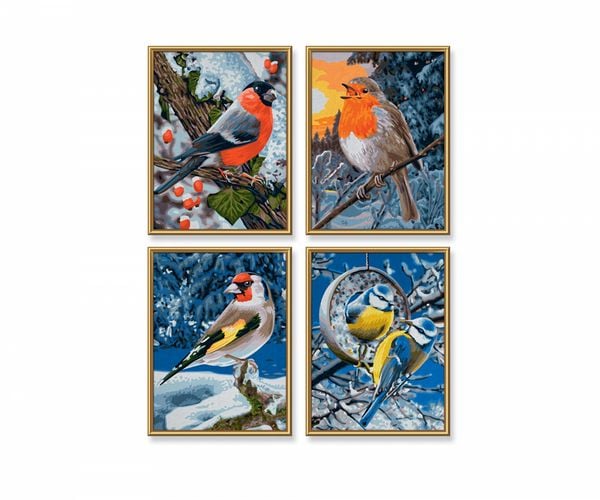 Malen nach Zahlen - Wintervögel (Quattro)