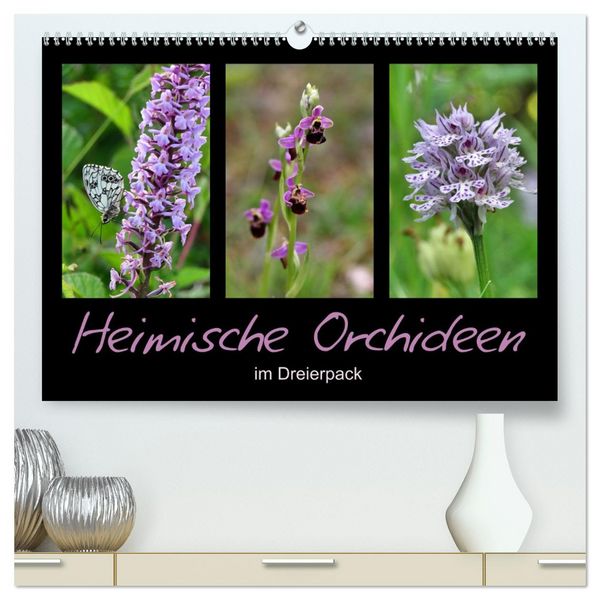 Heimische Orchideen im Dreierpack (hochwertiger Premium Wandkalender 2026 DIN A2 quer), Kunstdruck in Hochglanz