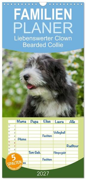 Familienplaner 2027 - Liebenswerter Clown Bearded Collie mit 5 Spalten (Wandkalender, 21 x 45 cm) CALVENDO
