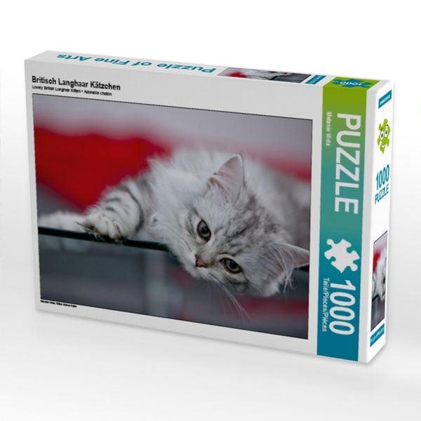 CALVENDO Puzzle Britisch Langhaar Kätzchen 1000 Teile Lege-Größe 64x48cm Foto-Puzzle für glückliche Stunden