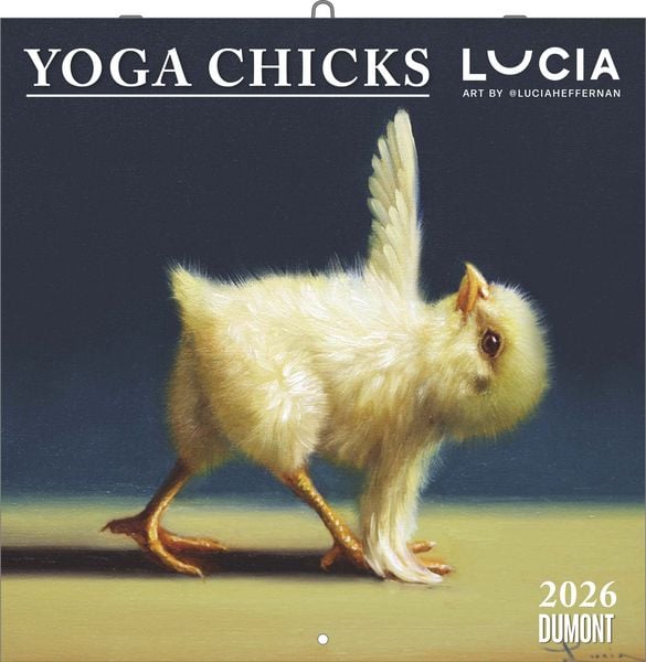 DUMONT - Yoga Chicks 2026 – Broschürenkalender 30x30 cm – Lustige Yoga-Küken, humorvolle Illustrationen, mit Feiertagen & Mondphasen
