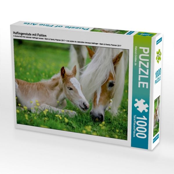 CALVENDO Puzzle Haflingerstute mit Fohlen 1000 Teile Lege-Größe 64x48cm Foto-Puzzle für glückliche Stunden