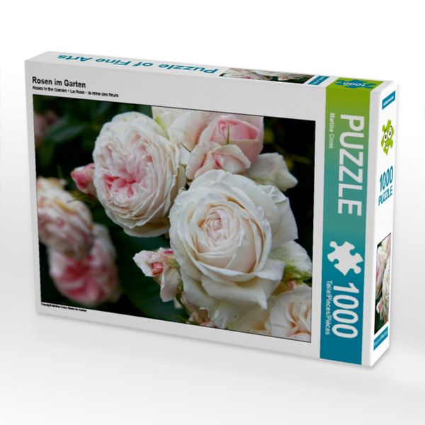 CALVENDO Puzzle Rosen im Garten 1000 Teile Lege-Größe 64x48cm Foto-Puzzle für glückliche Stunden