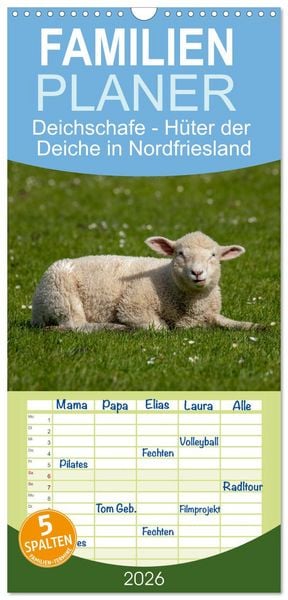 Familienplaner 2026 - Deichschafe - Hüter der Deiche in Nordfriesland mit 5 Spalten (Wandkalender, 21 x 45 cm) CALVENDO