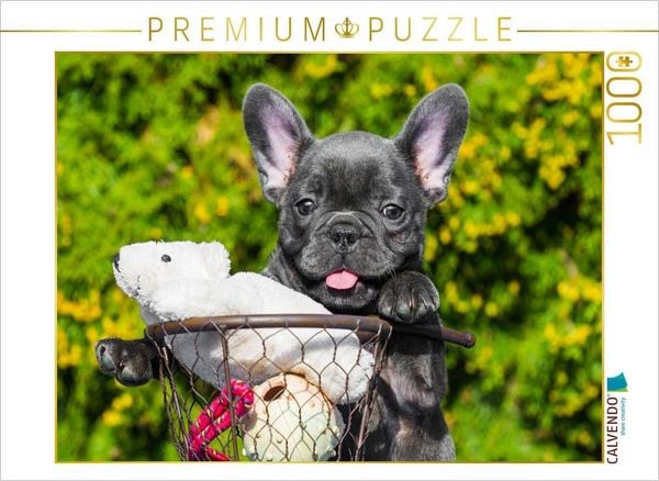 CALVENDO Puzzle Französische Bulldogge - kleiner Clown auf 4 Pfoten 1000 Teile Lege-Größe 64x48cm Foto-Puzzle für glückliche Stunden