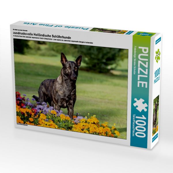 CALVENDO Puzzle Ein Motiv aus dem Kalender ausdrucksvolle Holländische Schäferhunde 1000 Teile Puzzle quer 1000 Teile Lege-Größe 64 × 48 cm Foto-Puzzle für glückliche Stunden