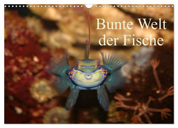 Bunte Welt der Fische (Wandkalender 2027 DIN A3 quer), CALVENDO Monatskalender