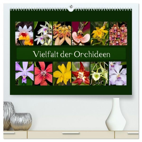 Vielfalt der Orchideen (hochwertiger Premium Wandkalender 2026 DIN A2 quer), Kunstdruck in Hochglanz