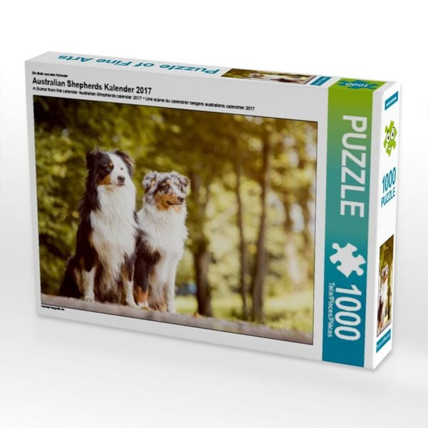 Ein Motiv aus dem Kalender Australian Shepherds Kalender 2017 (Puzzle)