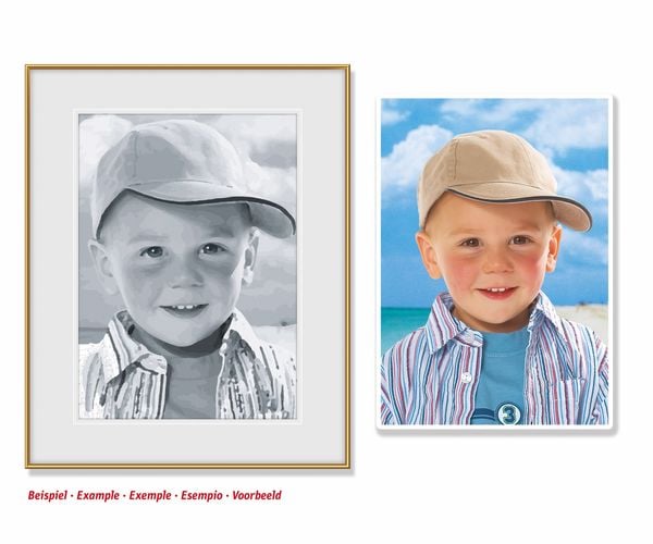 Schipper 602100371 - Malen nach Zahlen: Male deinen Liebling