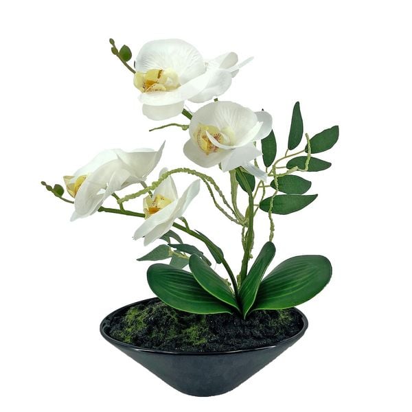 NTK-Collection Orchideen-Bonsai 28 cm Orchideen-Bonsai 28 cm