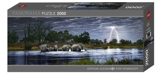 Herd of Elephants Puzzle