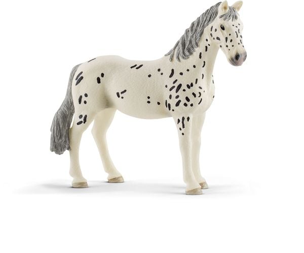 Schleich 13910 - Horse Club Knabstrupper Stute, Pferd,