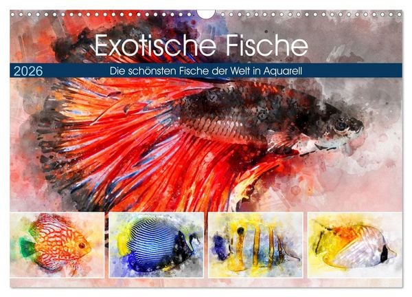 Exotische Fische - Die schönsten Fische der Welt in Aquarell (Wandkalender 2026 DIN A3 quer), CALVENDO Monatskalender