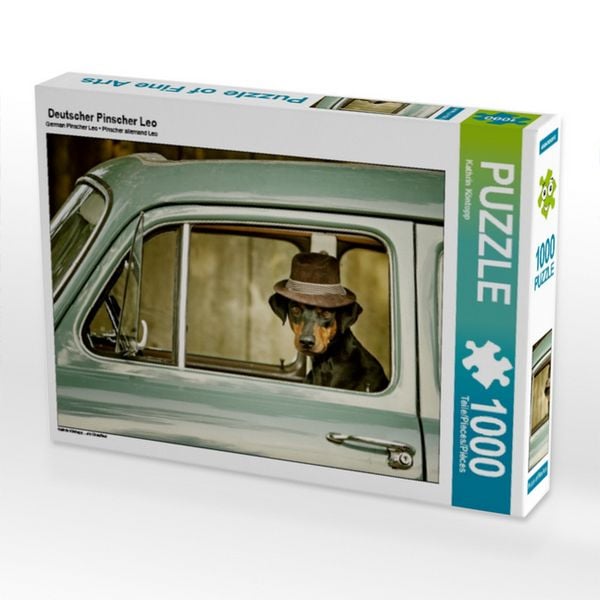 CALVENDO Puzzle Deutscher Pinscher Leo 1000 Teile Puzzle quer 1000 Teile Lege-Größe 64 × 48 cm Foto-Puzzle für glückliche Stunden