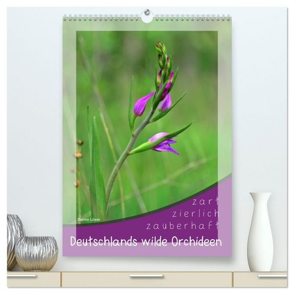 Deutschlands wilde Orchideen (hochwertiger Premium Wandkalender 2027 DIN A2 hoch), Kunstdruck in Hochglanz