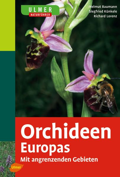 Ulmer Naturführer Orchideen Europas