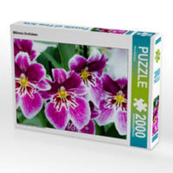 CALVENDO Puzzle Miltonia Orchideen 2000 Teile Puzzle quer 2000 Teile Lege-Größe 90 × 67 cm Foto-Puzzle für glückliche Stunden