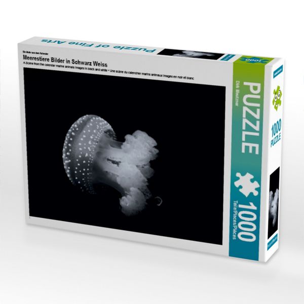 CALVENDO Puzzle Ein Motiv aus dem Kalender Meerestiere Bilder in Schwarz Weiss 1000 Teile Lege-Größe 64x48cm Foto-Puzzle für glückliche Stunden