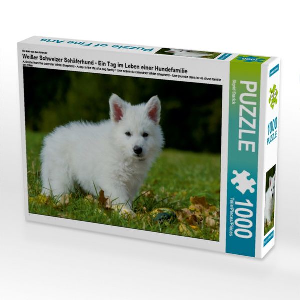 CALVENDO Puzzle Ein Motiv aus dem Kalender Weißer Schweizer Schäferhund - Ein Tag im Leben einer Hundefamilie 1000 Teile Lege-Größe 64x48cm Foto-Puzzle für glückliche Stunden