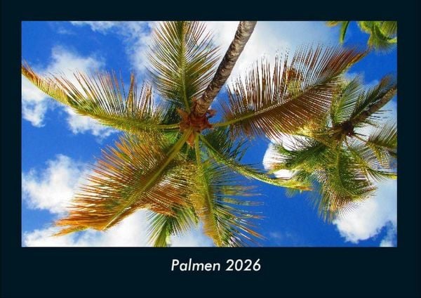 Palmen 2026 Fotokalender DIN A4