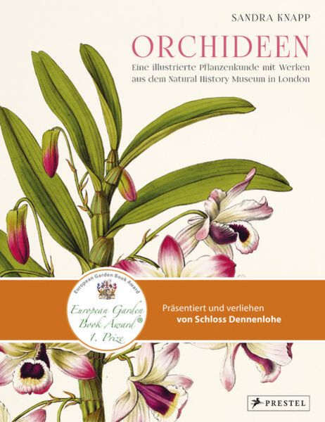Orchideen