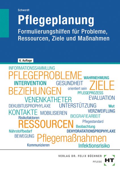 EBook inside: Buch und eBook Pflegeplanung