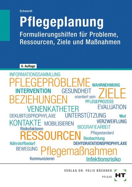 eBook inside: Buch und eBook Pflegeplanung