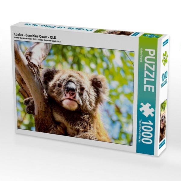 CALVENDO Puzzle Koalas - Sunshine Coast - QLD 1000 Teile Puzzle quer 1000 Teile Lege-Größe 64 × 48 cm Foto-Puzzle für glückliche Stunden