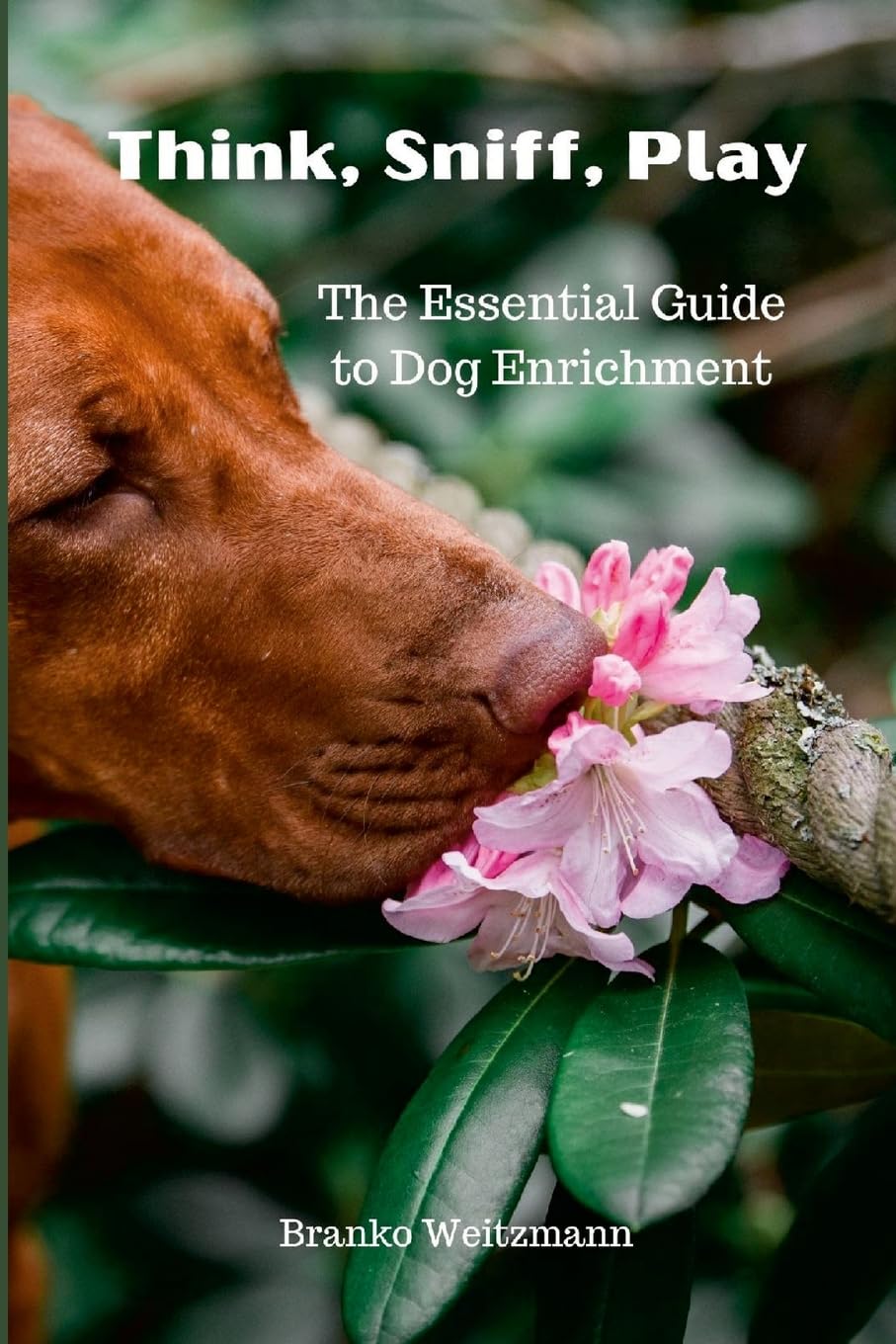 Think, Sniff, Play: The Essential Guide to Dog Enrichment