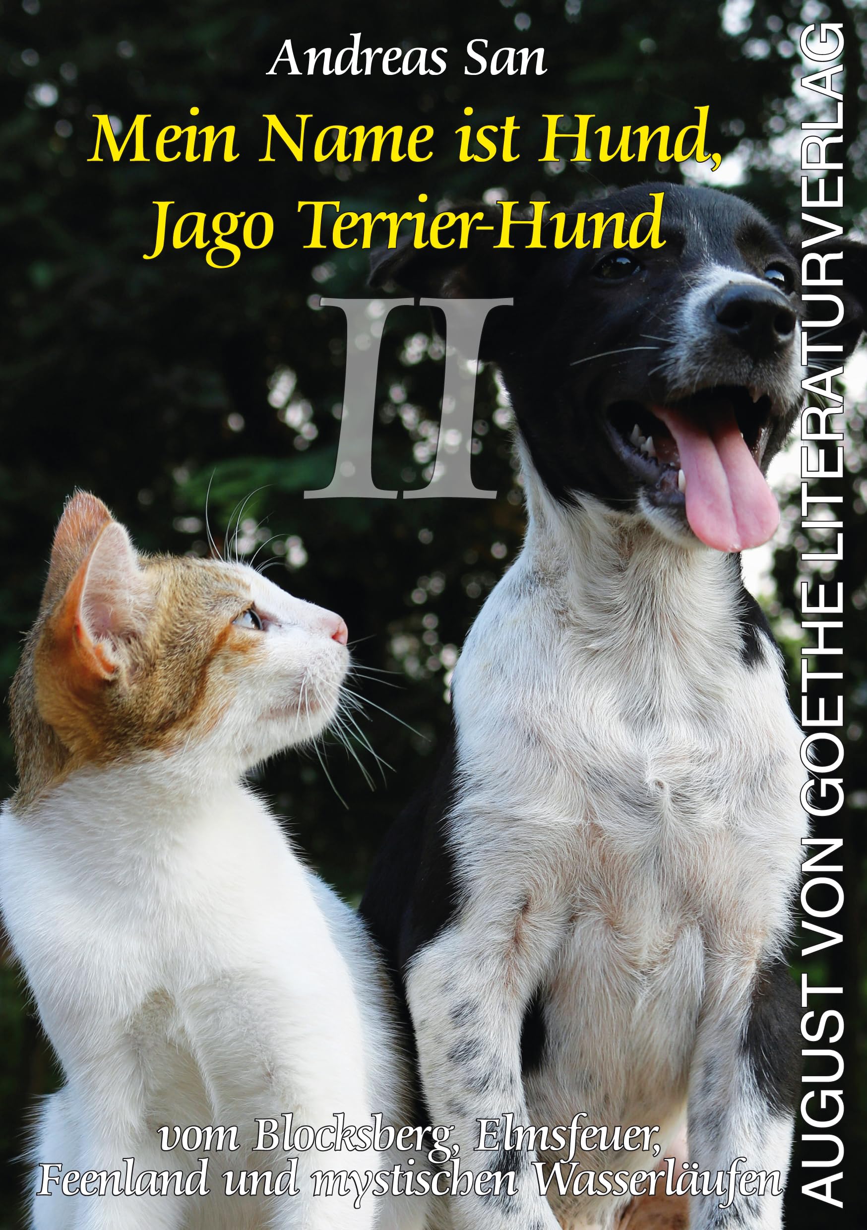 Mein Name ist Hund, Jago Terrier Hund II: vom Blocksberg, Elmsfeuer, Feenland und mystischen Wasserläufen