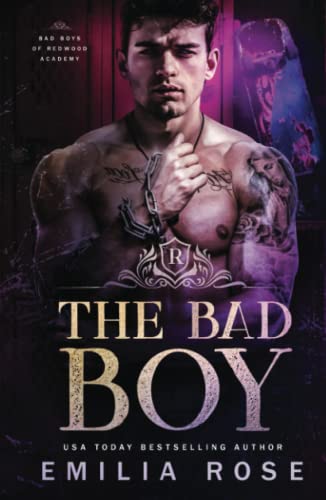 The Bad Boy (Bad Boys of Redwood Academy, Band 3)