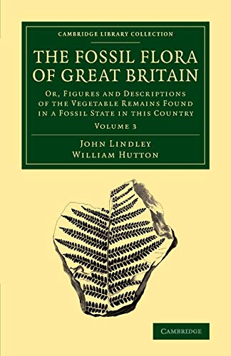 The Fossil Flora of Great Britain 3 Volume Set: The Fossil Flora of Great Britain: Or, Figures And Descriptions Of The Vegetable Remains Found In A ... Collection - Earth Science) (Volume 3)