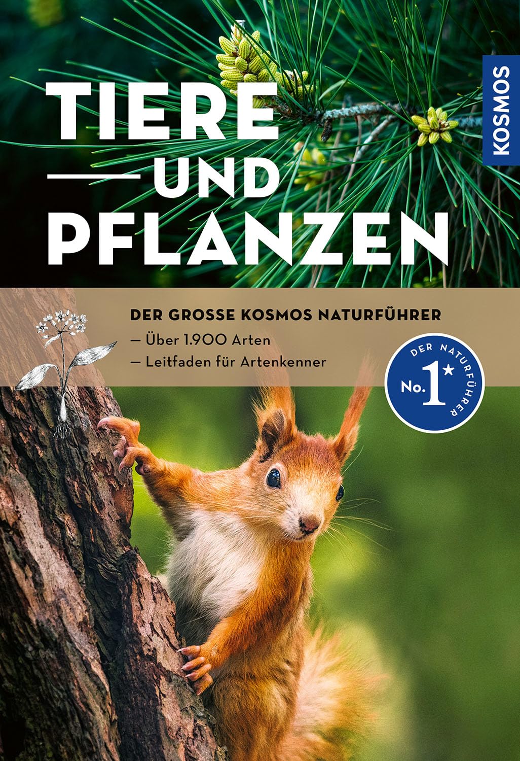 Der große Kosmos-Naturführer Tiere und Pflanzen: Naturführer und Nachschlagewerk mit 900 Tieren sowie 1000 Pflanzen und Pilzen, über 2.400 Abbildungen. Tierstimmen und Filme auf der Kosmos-Plus-App