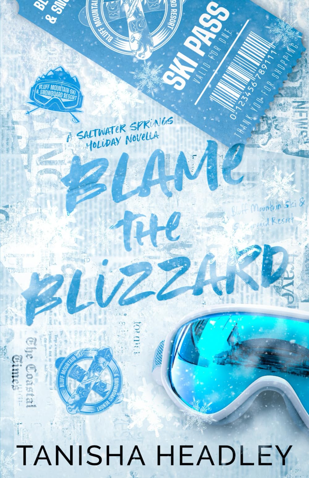 Blame the Blizzard: A Saltwater Springs Holiday Novella