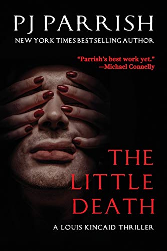 THE LITTLE DEATH: A Louis Kincaid Thriller (Louis Kincaid Series, Band 9)